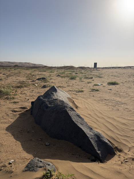 إحدى العلامات الحجرية داخل الموقع