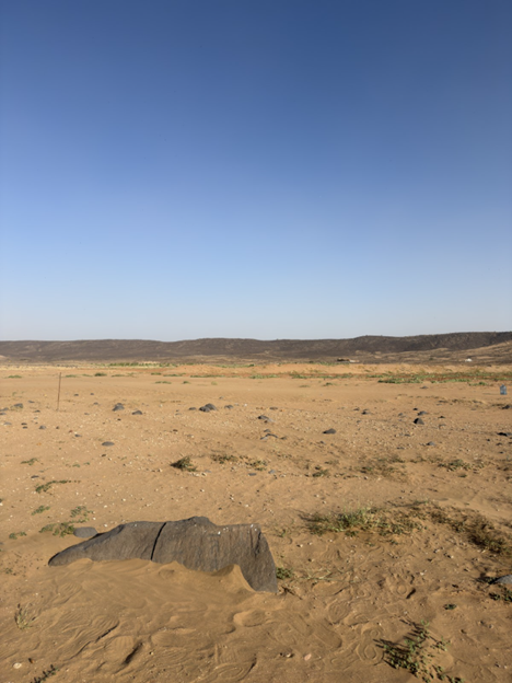 طمر الرمال لبعض العلامات في الموقع