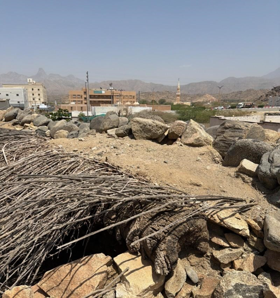 التسقيف التقليدي بسعف النخيل والطين