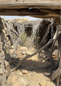 تأثر سقف المبنى بالرطوبة مما أدى إلى انهياره