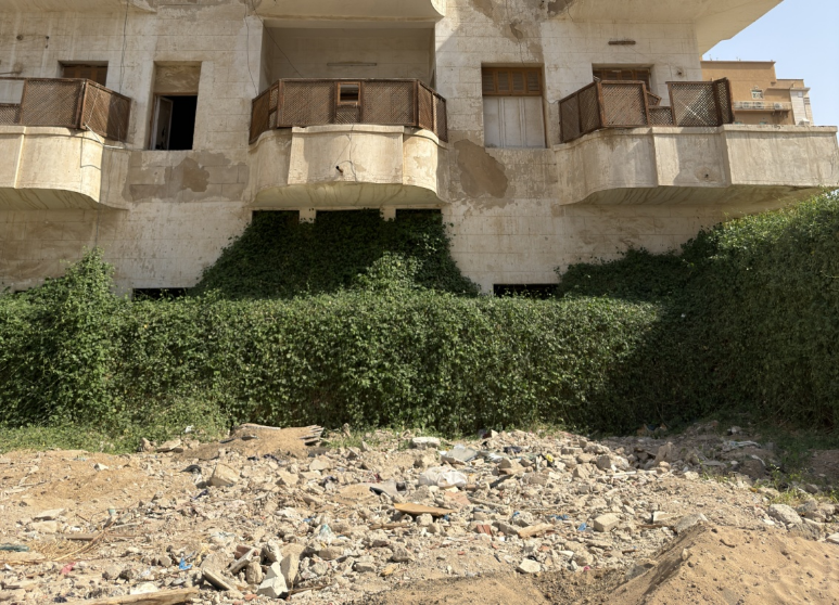 الباب المغلق نتيجة نمو النباتات والأشجار
