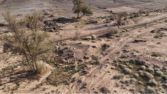 حالة الطُرُق المحيطة بالموقع