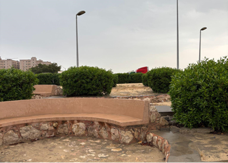 جلسات استراحة و أعمال تشجير للموقع