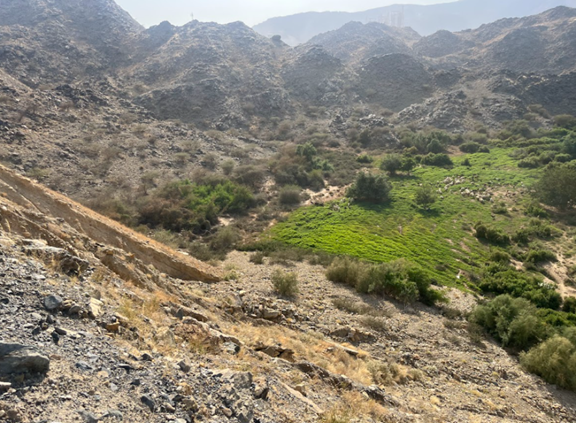 مشهد عام لموقع حياد السهبة