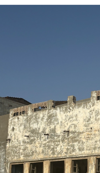 نباتات عشوائية النمو في محيط الأبنية التراثية في الحي