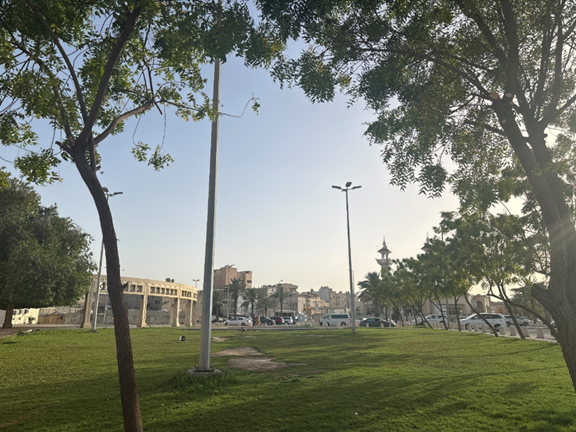 يضم الحي مسطحات خضراء