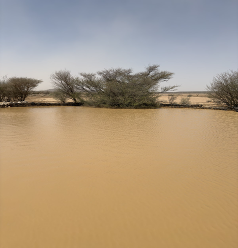 المظهر العام لموقع بركة الكراع