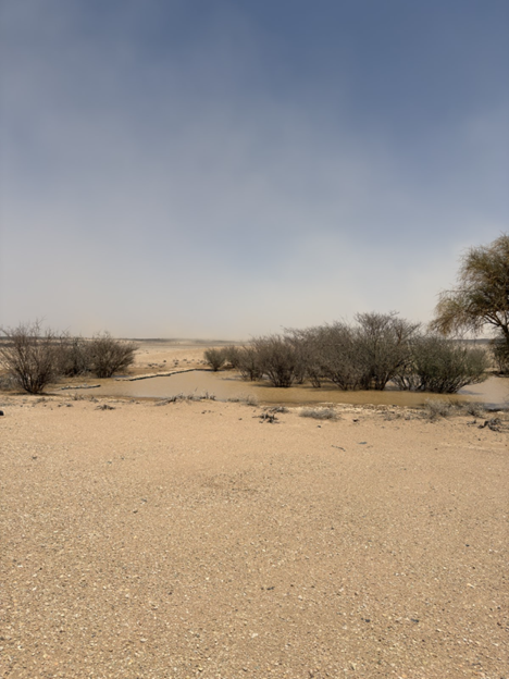 البركة المربعة في الموقع