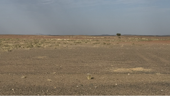المنطقة المحيطة بالموقع