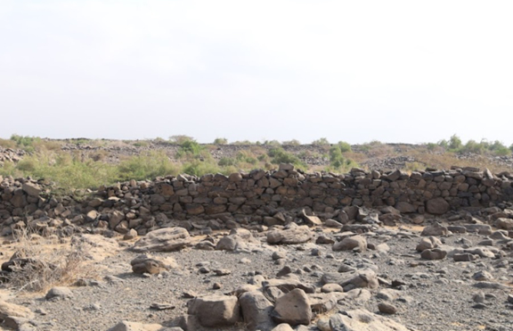 قلعة العينة