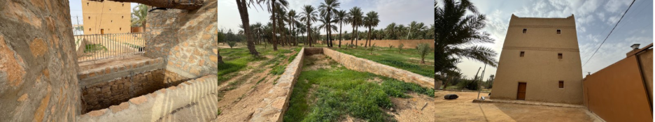 التكوين المعماري للموقع