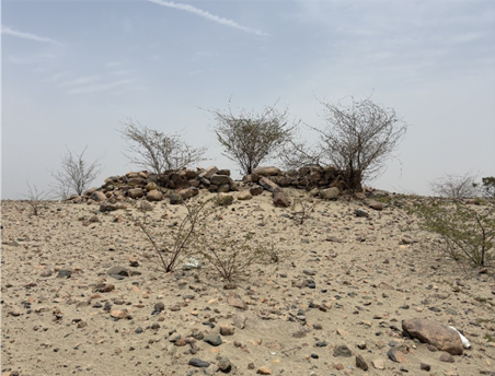 المظهر العام للموقع