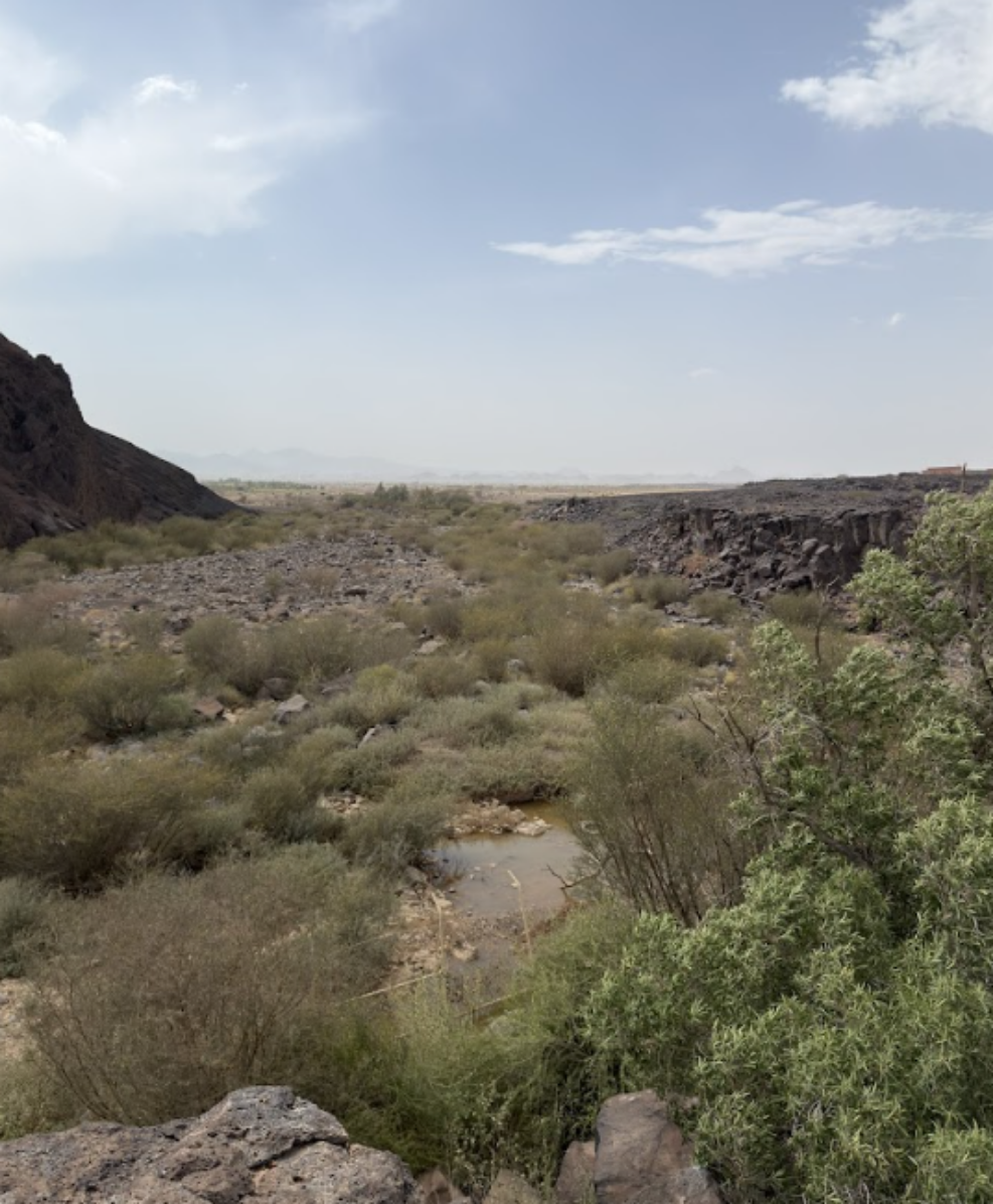 الوادي الطبيعي ذو الجريان الموسمي