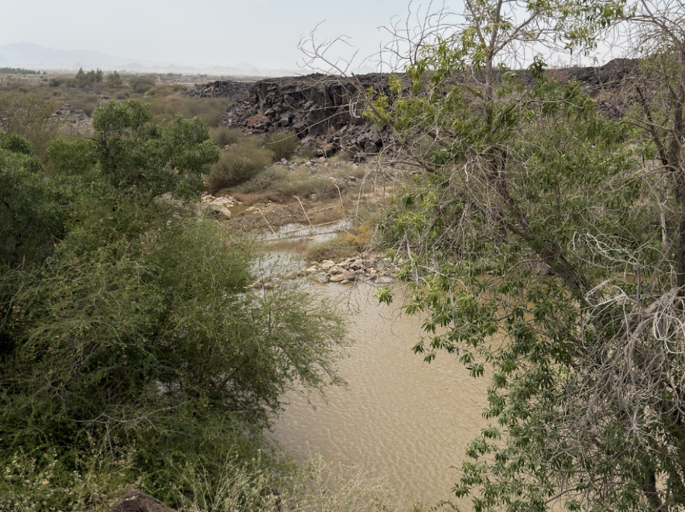 وادي رواوة
