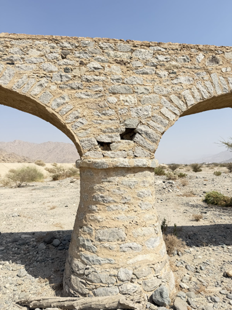 تفكك بعض الحجارة ونمو النباتات حول الموقع