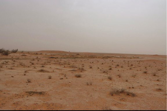 المظهر العام لبركة الشيحيات
