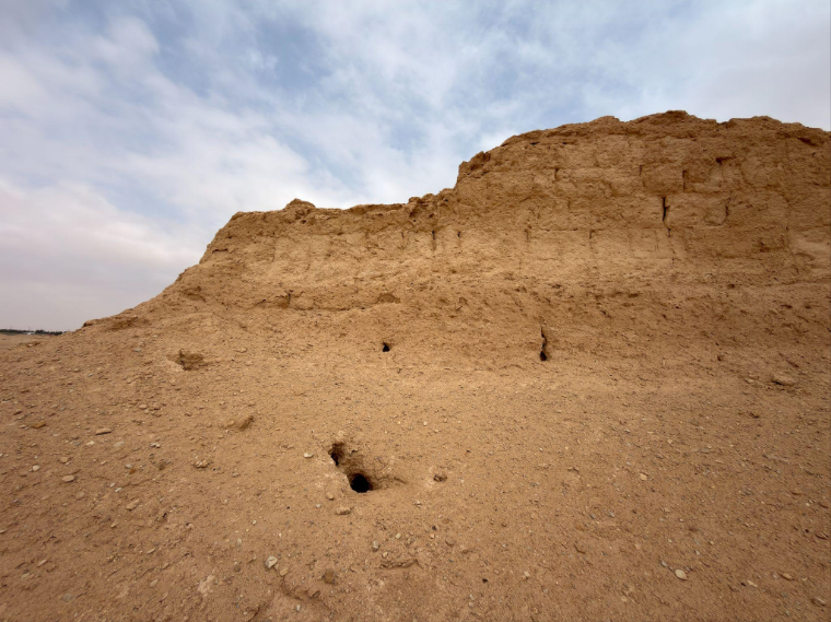 مساكن الحيوانات والقوارض في موقع قصيرات عاد