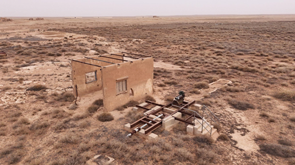 صورة مقربة توضح مظاهر التلف البشري