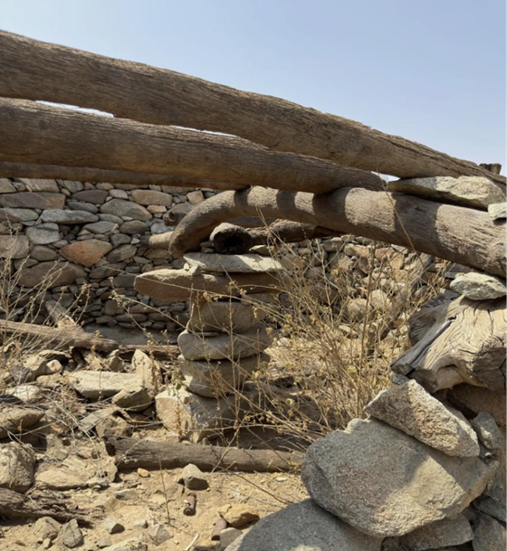 فقدان أجزاء من الأسقف