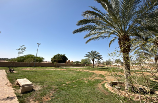 الإنارة في الموقع