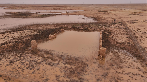 عوامل التلف
