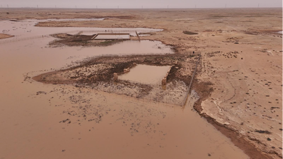 برك المياه من الموقع