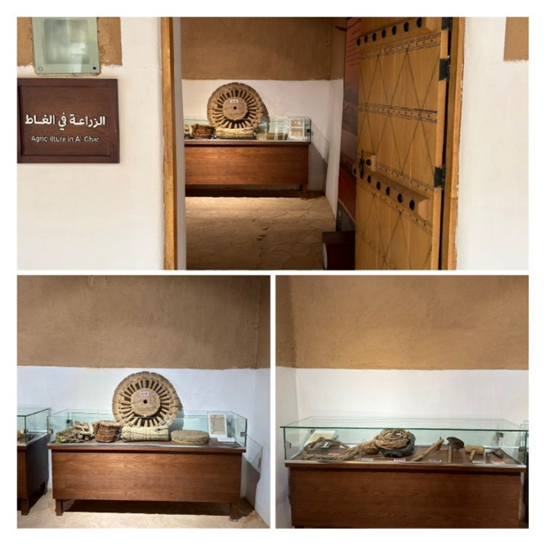 متجر يوضح تاريخ الزراعة في الغاط