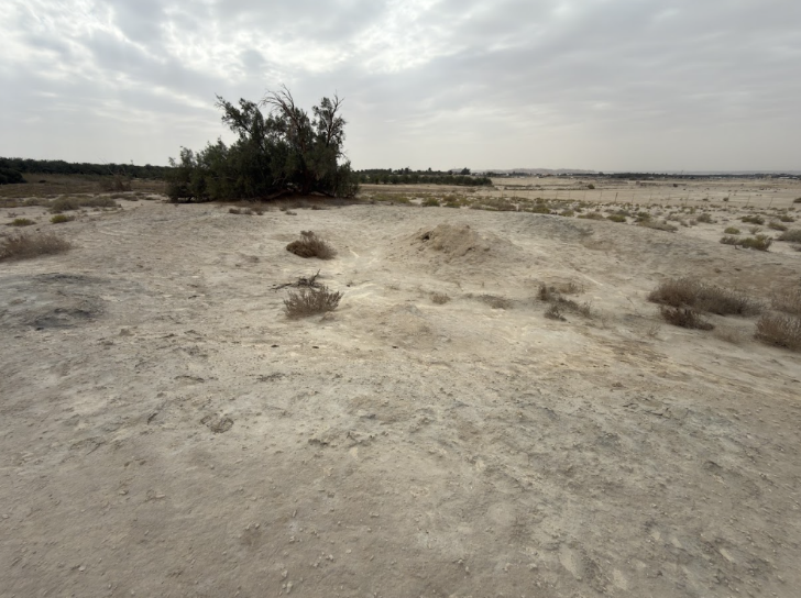 عين قناص
