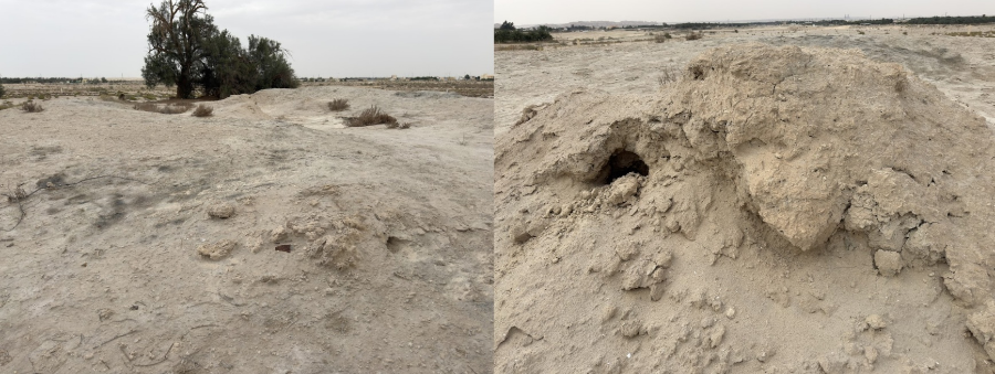 بقايا العين