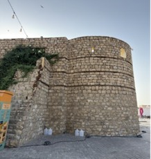 نمو النباتات على أجزاء من الدعامة والدرج