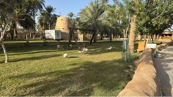 الساحات الخضراء في البيت التراثي