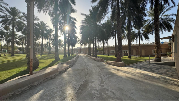 المسارات الداخلية في بيت الزنيدي التراثي