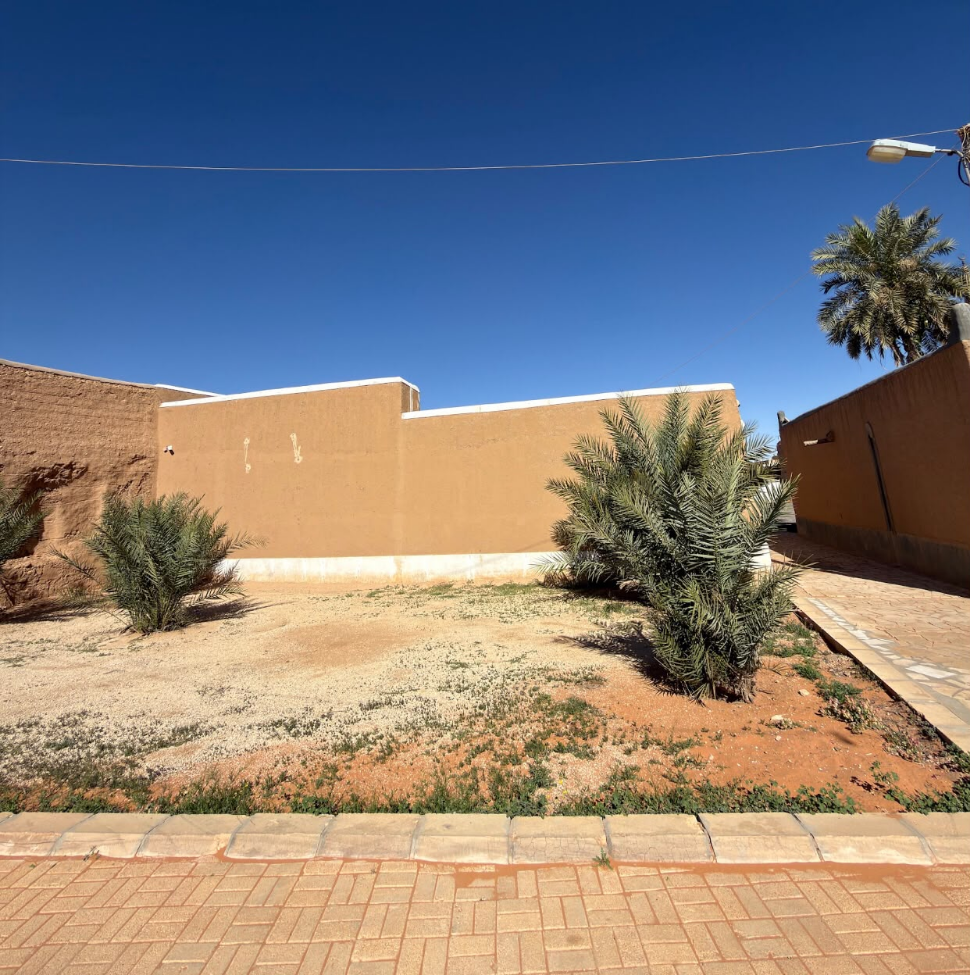 المشهد العام لمدرسة الصانع