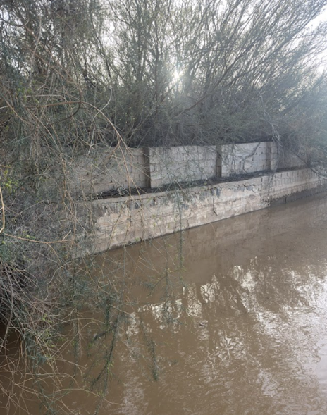 المنظومة الهندسية للبركة