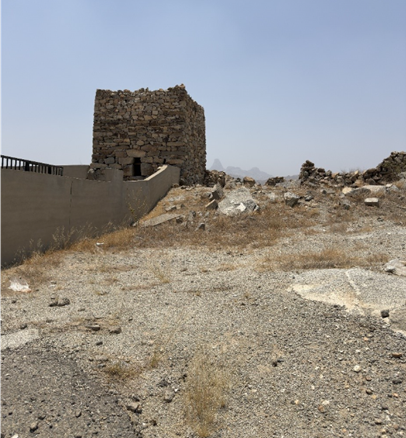 المظهر العام للموقع