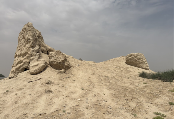 بقايا برجي القصر