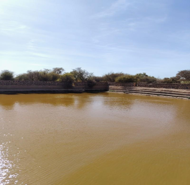البركة الرئيسية