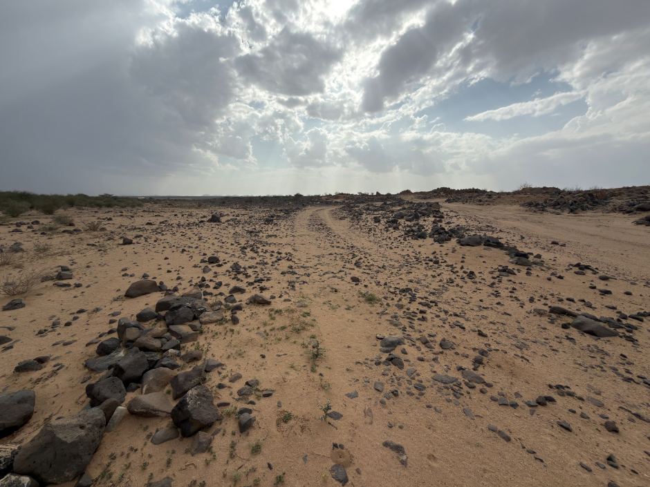 درب الفيل الأثري (جرب)