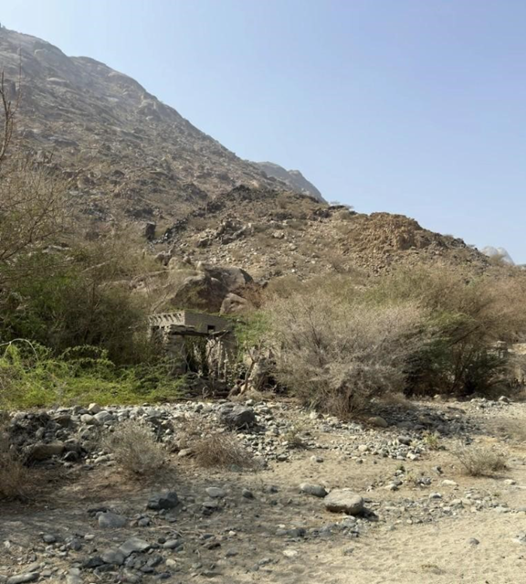 المشهد العام للموقع
