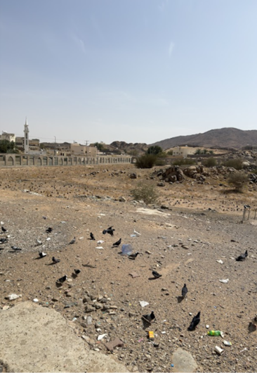 الحالة العامة لموقع غزوة بدر
