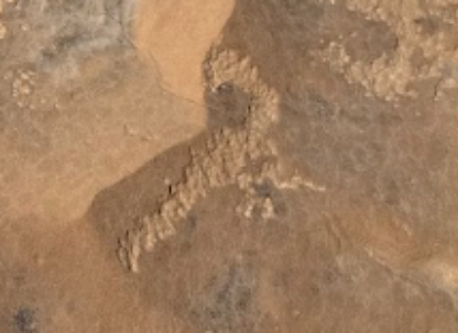 نقش صخري أثري يجسد عقربًا