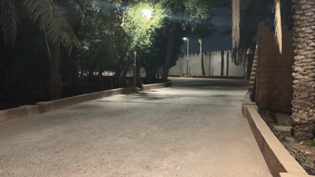 المسارات الممهدة داخل الموقع