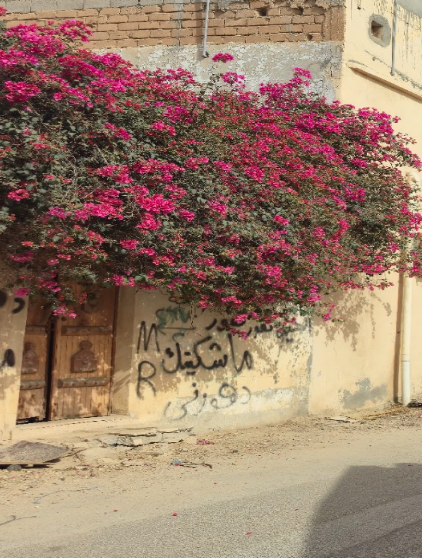 الكتابات المشوهة للجدران