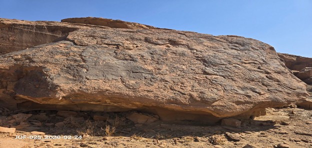 تآكل سطح الصخر في موقع نقش الأسد