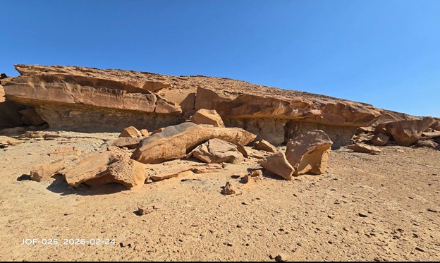 نقش الأسد