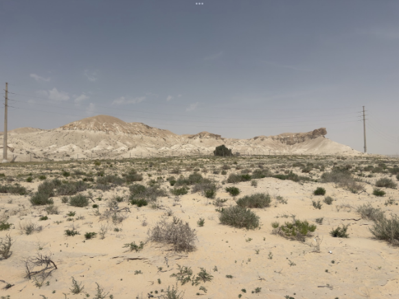 موقع جواثا الأثري