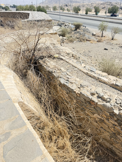 تشققات ونمو نباتات بصورة عشوائية في الموقع