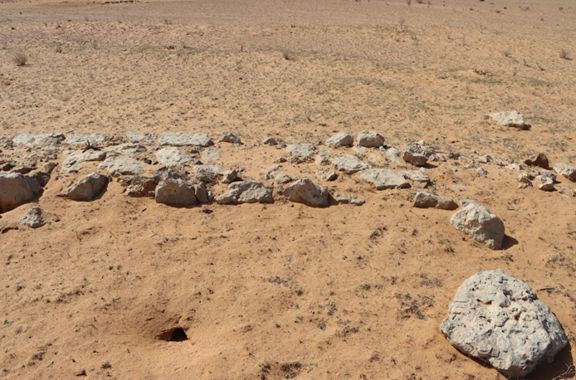 أثر الجحور الحيوانية على استقرار البقايا المعمارية في موقع القُنَعَة (قنعة خفّاف) 