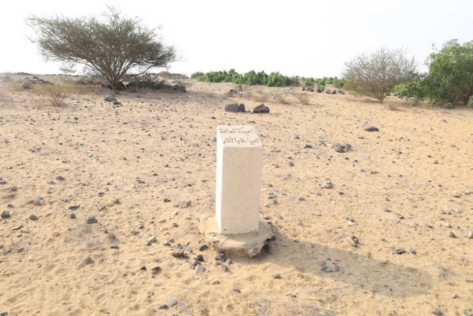 بتر الحماية الإسمنتية