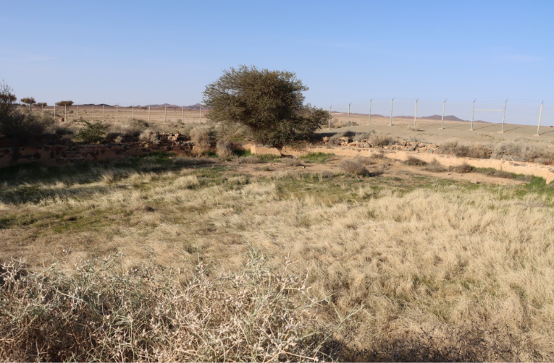 الطرق غير المعبدة